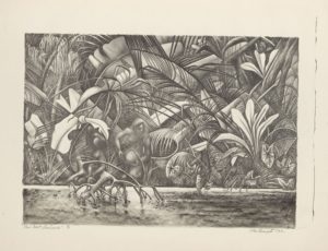 Rain Forest Suriname 1949