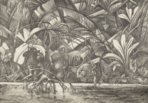 Rain Forest 1949