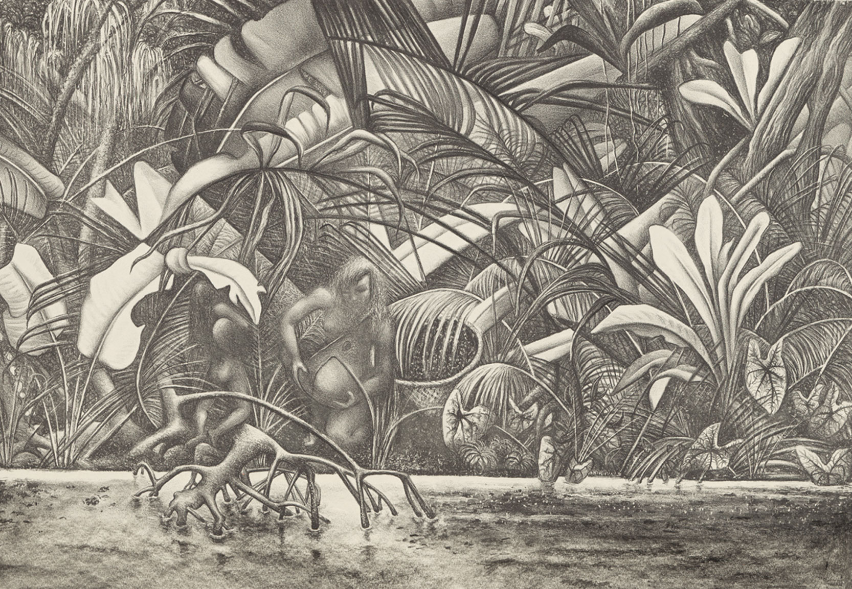 Rain Forest 1949